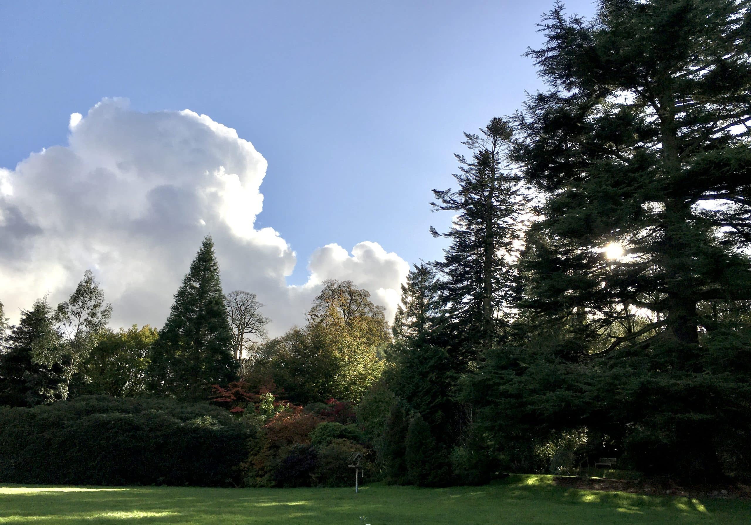 IMG_6707 Higham Hall gardens in Autumn